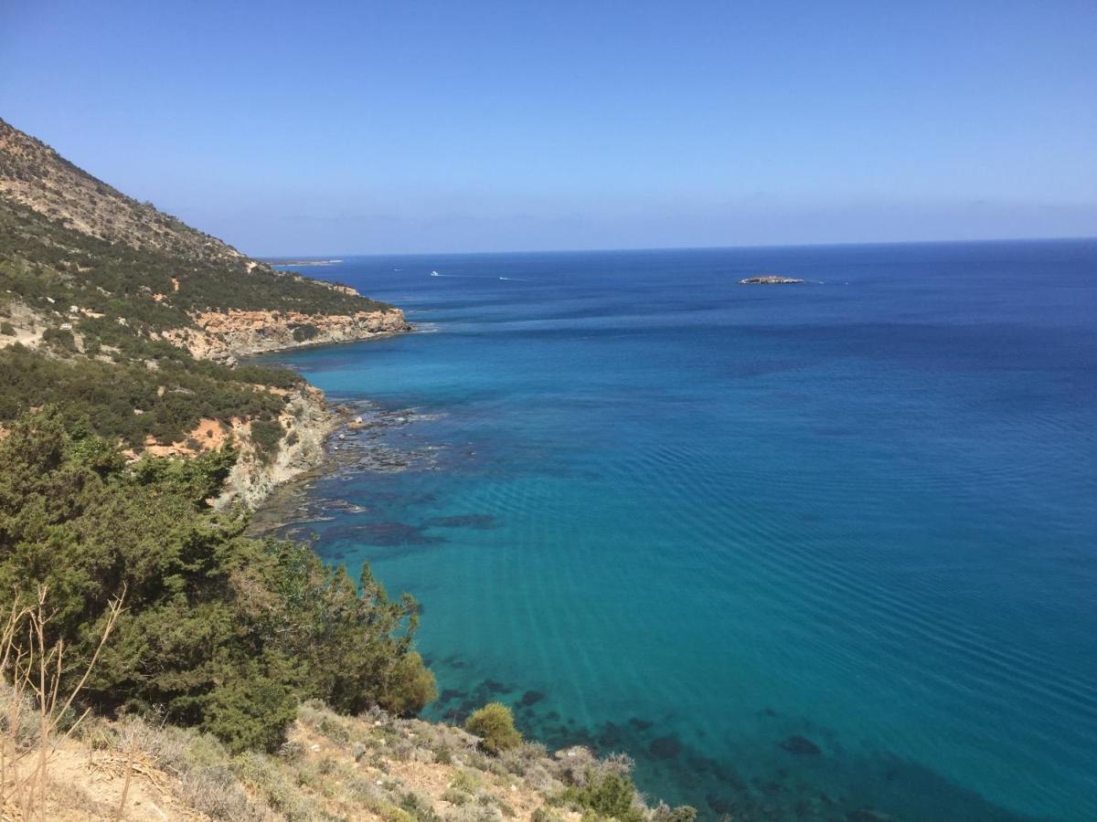 Beach Villa Gladiolus Нео-Хорио Экстерьер фото
